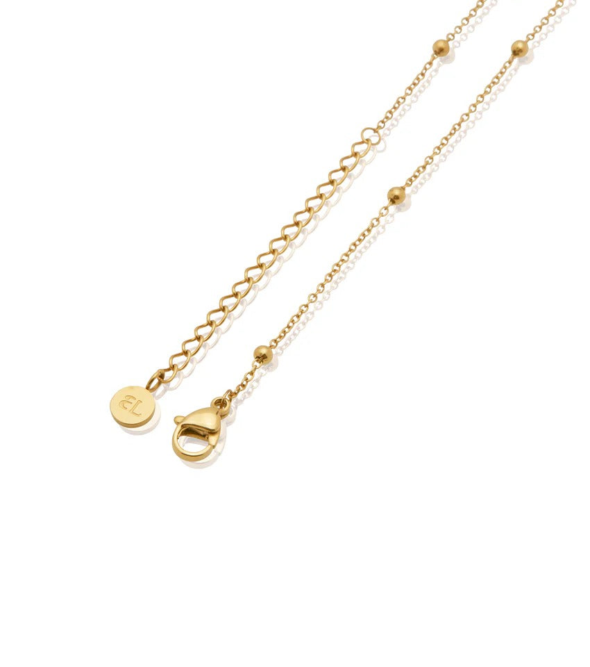 Personalised Initial & Birthstone Necklace (Gold)
